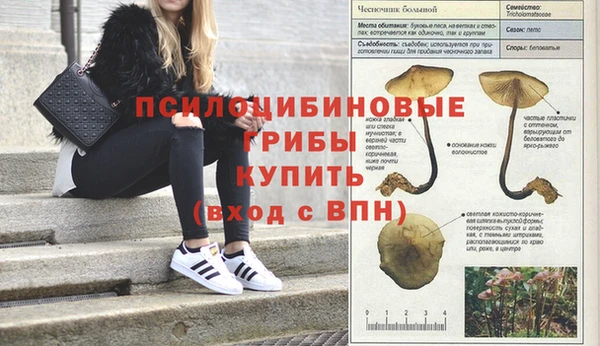 хмурый Переславль-Залесский