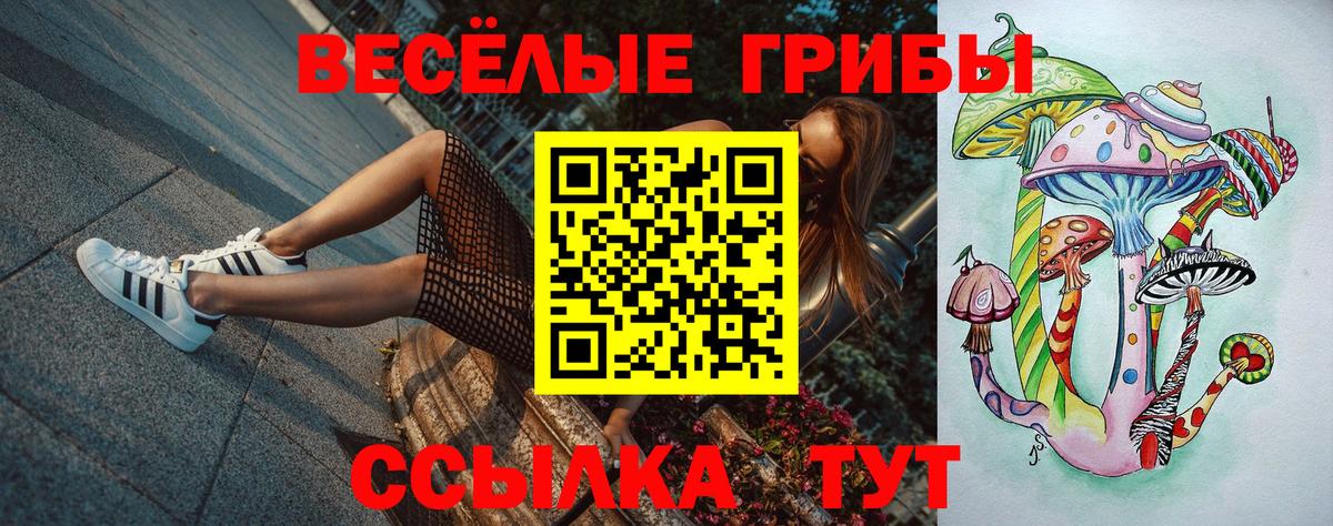 Галлюциногенные грибы Psilocybine cubensis Анапа