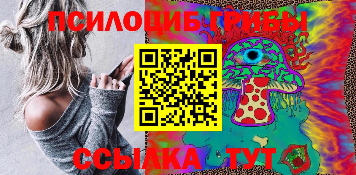 Галлюциногенные грибы Psilocybe Анапа