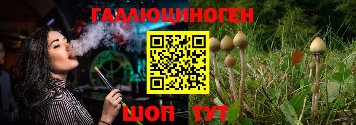 Псилоцибиновые грибы GOLDEN TEACHER  Вход с VPN  Анапа  Псилоцибиновые грибы GOLDEN TEACHER 