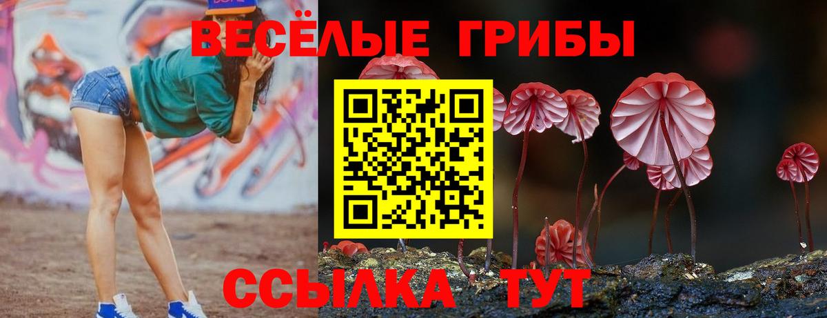 купить наркоту  Псилоцибиновые грибы мухоморы  Вход с VPN  Анапа 